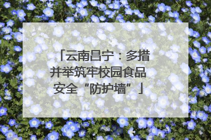 云南昌宁：多措并举筑牢校园食品安全“防护墙”