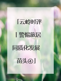 云岭时评丨警惕旅居同质化发展苗头④