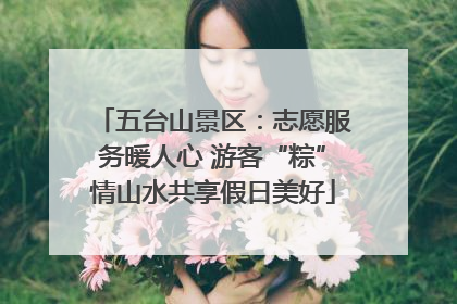 五台山景区：志愿服务暖人心 游客“粽”情山水共享假日美好