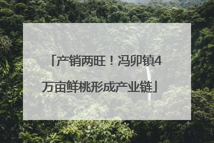 产销两旺！冯卯镇4万亩鲜桃形成产业链