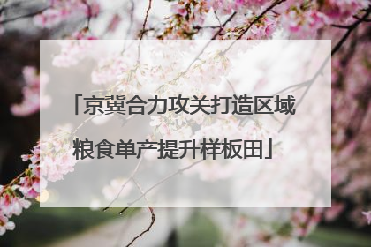京冀合力攻关打造区域粮食单产提升样板田