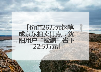 价值26万元钢笔成京东拍卖焦点：沈阳用户“捡漏”省下22.5万元