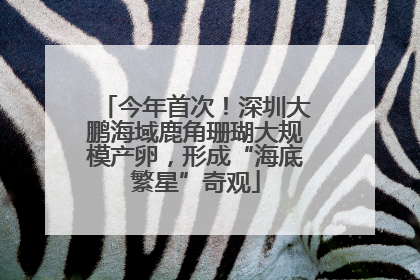 今年首次！深圳大鹏海域鹿角珊瑚大规模产卵，形成“海底繁星”奇观