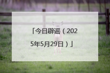 今日辟谣（2025年5月29日）