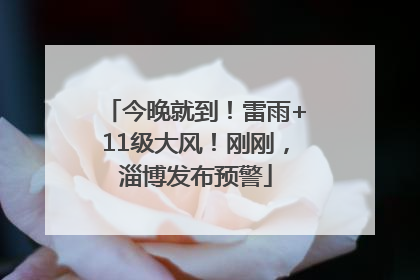 今晚就到！雷雨+11级大风！刚刚，淄博发布预警