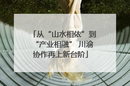 从“山水相依”到“产业相融” 川渝协作再上新台阶