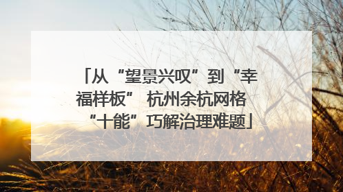 从“望景兴叹”到“幸福样板” 杭州余杭网格“十能”巧解治理难题