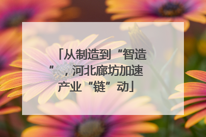 从制造到“智造”，河北廊坊加速产业“链”动