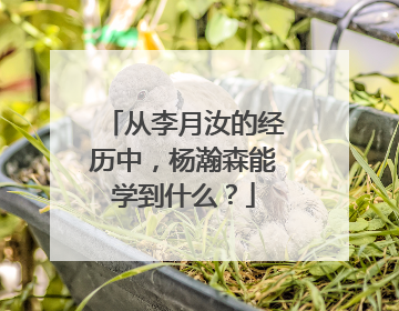 从李月汝的经历中，杨瀚森能学到什么？