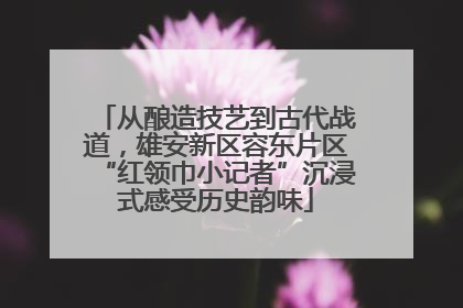 从酿造技艺到古代战道，雄安新区容东片区“红领巾小记者”沉浸式感受历史韵味