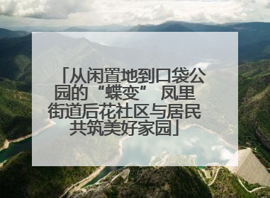 从闲置地到口袋公园的“蝶变” 凤里街道后花社区与居民共筑美好家园