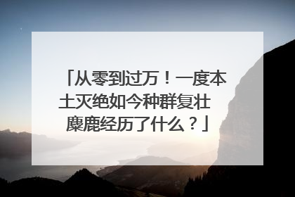 从零到过万！一度本土灭绝如今种群复壮 麋鹿经历了什么？