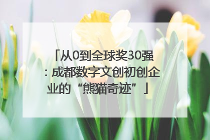 从0到全球奖30强：成都数字文创初创企业的“熊猫奇迹”