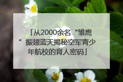 从2000余名“雏鹰”振翅蓝天揭秘空军青少年航校的育人密码