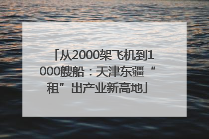 从2000架飞机到1000艘船：天津东疆“租”出产业新高地