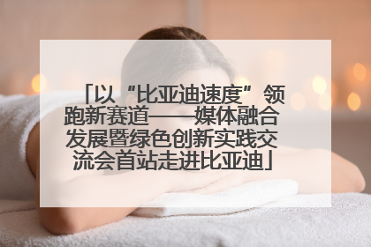 以“比亚迪速度”领跑新赛道——媒体融合发展暨绿色创新实践交流会首站走进比亚迪