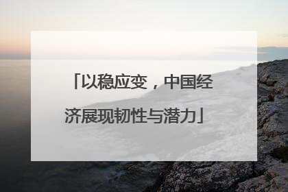 以稳应变，中国经济展现韧性与潜力