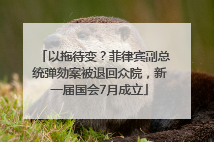 以拖待变？菲律宾副总统弹劾案被退回众院，新一届国会7月成立