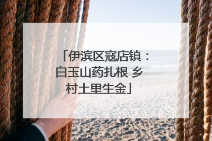 伊滨区寇店镇：白玉山药扎根 乡村土里生金