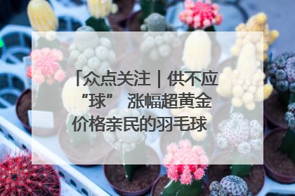 众点关注｜供不应“球” 涨幅超黄金 价格亲民的羽毛球为何身价飞涨？