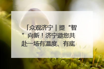 众观济宁｜提“智”向新！济宁邀您共赴一场有温度、有底气的“智造”之约