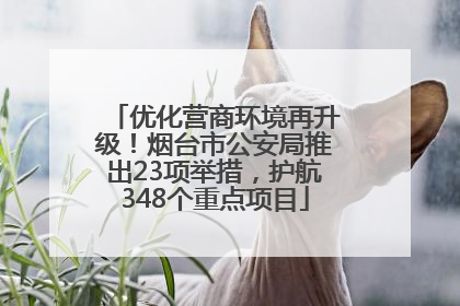 优化营商环境再升级！烟台市公安局推出23项举措，护航348个重点项目