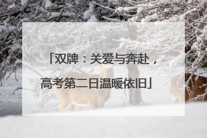 双牌：关爱与奔赴，高考第二日温暖依旧