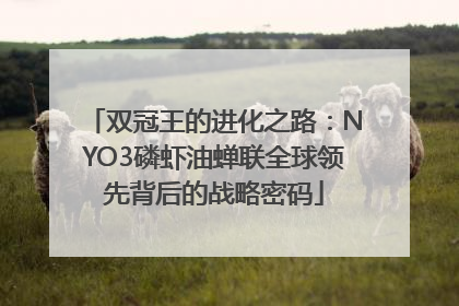 双冠王的进化之路：NYO3磷虾油蝉联全球领先背后的战略密码
