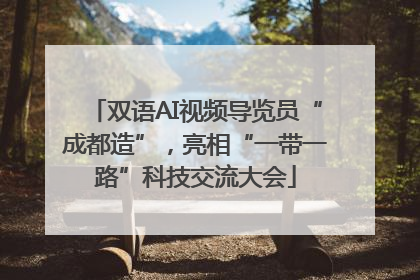 双语AI视频导览员“成都造”，亮相“一带一路”科技交流大会