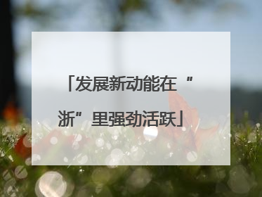 发展新动能在“浙”里强劲活跃