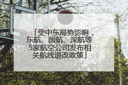 受中东局势影响，东航、国航、深航等5家航空公司发布相关航线退改政策