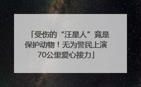 受伤的“汪星人”竟是保护动物！无为警民上演70公里爱心接力