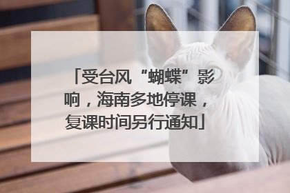 受台风“蝴蝶”影响，海南多地停课，复课时间另行通知
