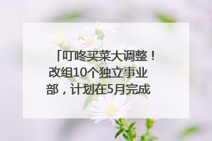 叮咚买菜大调整！改组10个独立事业部，计划在5月完成App端全面改版