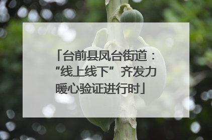 台前县凤台街道：“线上线下”齐发力 暖心验证进行时