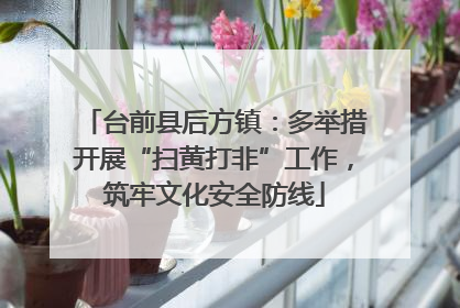 台前县后方镇：多举措开展“扫黄打非”工作，筑牢文化安全防线