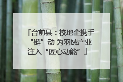 台前县：校地企携手“链”动 为羽绒产业注入“匠心动能”