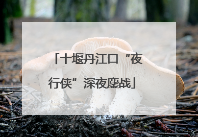 十堰丹江口“夜行侠”深夜鏖战