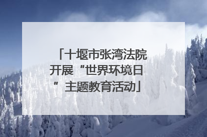 十堰市张湾法院开展“世界环境日”主题教育活动