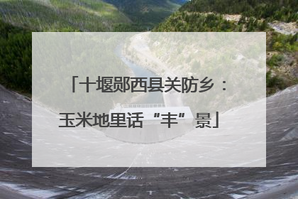 十堰郧西县关防乡：玉米地里话“丰”景