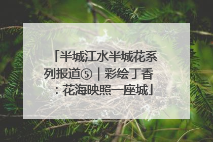 半城江水半城花系列报道⑤｜彩绘丁香：花海映照一座城