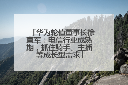 华为轮值董事长徐直军：电信行业成熟期，抓住骑手、主播等成长型需求