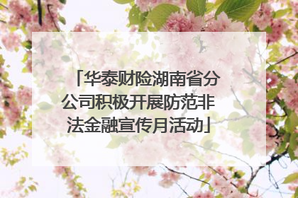 华泰财险湖南省分公司积极开展防范非法金融宣传月活动