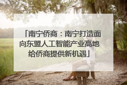南宁侨商：南宁打造面向东盟人工智能产业高地给侨商提供新机遇