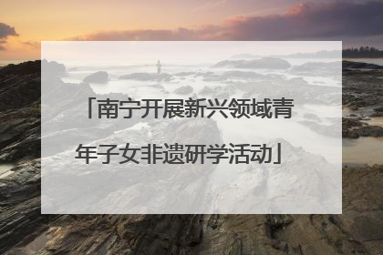 南宁开展新兴领域青年子女非遗研学活动