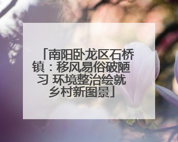 南阳卧龙区石桥镇：移风易俗破陋习 环境整治绘就乡村新图景