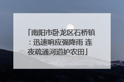 南阳市卧龙区石桥镇：迅速响应强降雨 连夜疏通河道护农田