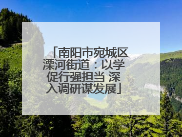 南阳市宛城区溧河街道：以学促行强担当 深入调研谋发展