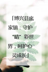 博兴县庞家镇：守护“睛”彩世界，呵护心灵成长