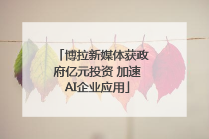 博拉新媒体获政府亿元投资 加速AI企业应用